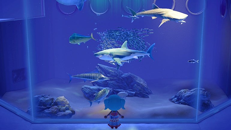 【11月から】新しく出てくる虫・魚は13種！タランチュラ・マグロ・センジュナマコの季節…出現時間と値段まとめ