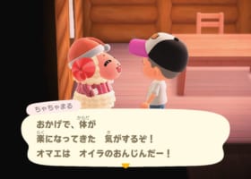 【住民の家を改装中】変なムシやサカナ飾るのマジ止めて・・・