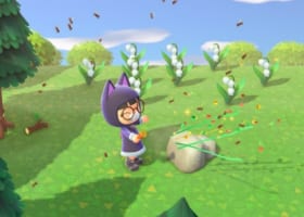 ハチをプレゼントすると効率よく写真がもらえる説